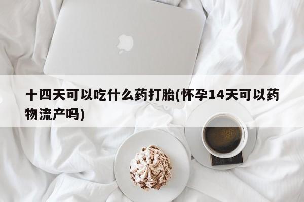 米非司酮片在线购微信十四天可以吃什么药打胎(怀孕14天可以药物流产吗)